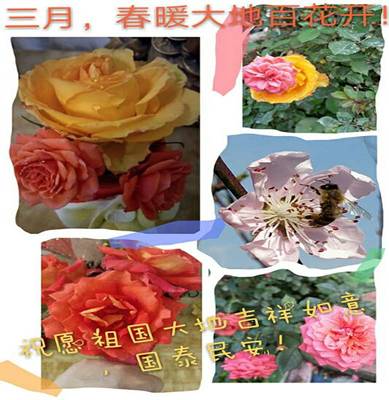 钟嘉颖(春暖花开)